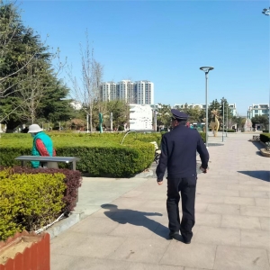 同和中队:执法巡查筑防线，园林绿化绽新颜