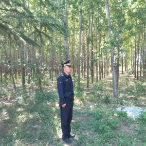 同和中队：春风里的护花使者，执法巡查守护春日绿意