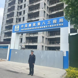 李园街道综合行政执法中队：加强工地扬尘、噪声检查，保障居民生活环境 ...