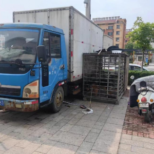 平度市凤台执法中队整治违规养犬 公共区域恢复通畅