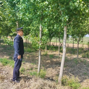 同和中队：守护城市绿脉，绘就生态新图