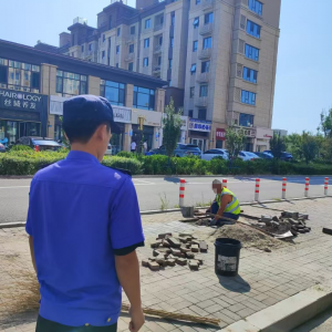 平度市东阁街道执法中队规范城市道路挖掘行为，保障群众出行安全 ...