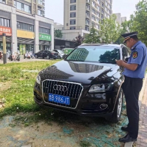 守护城市公共绿地 凤台执法中队整治占绿停车现象