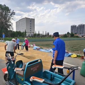 同和中队：当金黄麦穗遇见城市道路，一场关于文明与民生的双向奔赴 ...