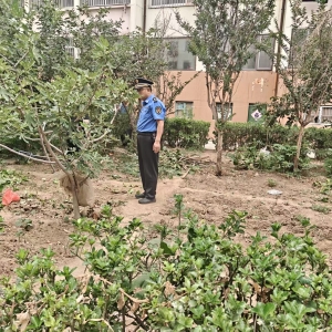 平度市东阁街道执法中队“信用+”整治占绿毁绿，守护公共绿地 ...