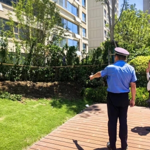 业主圈占公共绿地 凤台执法中队快速响应