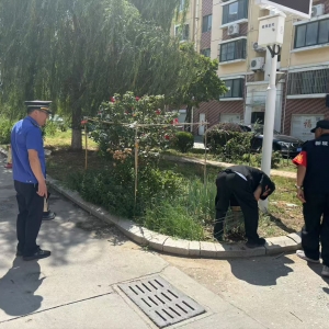 同和中队:治疗社区肌理中的"绿色结痂"——小区绿化带违规种菜现象 ...