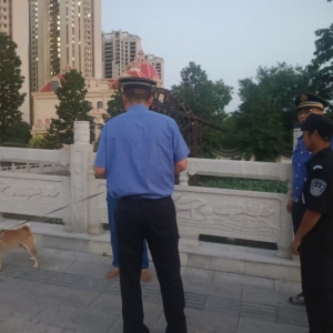 同和中队：牵绳那点事，藏着社区的温度
