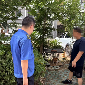 平度市东阁街道执法中队推进文明养犬，共筑和谐宜居城市