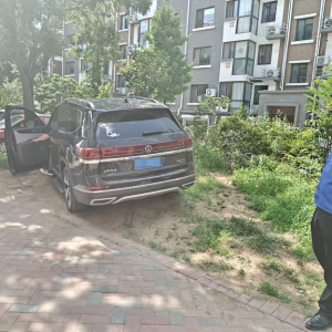 平度市东阁街道执法中队整治占绿毁绿乱象，维护公共利益