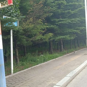 同和中队：清除城市“牛皮癣”，小广告执法巡查记