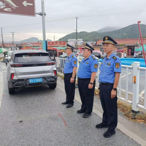 风雨无阻！凤台执法中队党支部护航大泽山葡萄节开幕