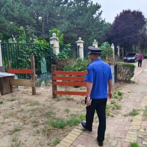 平度市东阁街道执法中队“信用+”聚焦占绿毁绿，全链条守护城市绿地 ...