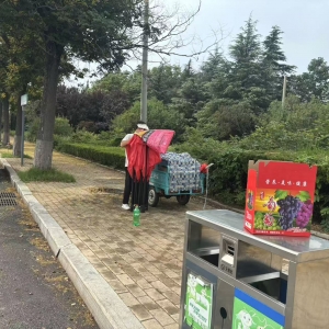 同和中队：疏堵之间见温度，执法巡查占道经营的城市治理实践 ...