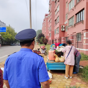 平度市东阁街道执法中队“信用+”开展市容环境整治，扮靓城市迎双节 ...