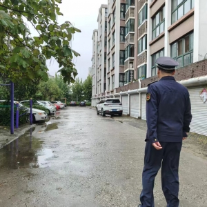 平度市东阁街道执法中队整治占绿毁绿，打造宜居生活空间
