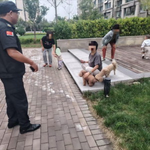 文明养犬 共筑和谐社区