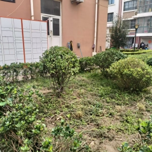 同和中队：守绿不松劲,回头见长效