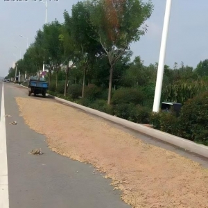 同和中队：“信用+执法”规范晾晒护街序，便民服务暖民心