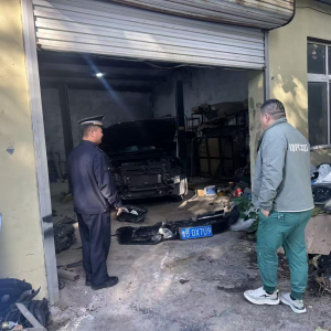 凤台执法中队强化商务领域执法 巡查辖区汽修厂