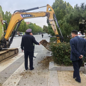 平度市凤台执法中队:守护绿化带改造 绘生态民生双升卷