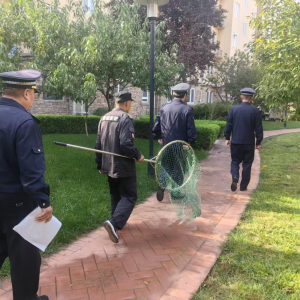 党建引领促民生 凤台执法中队党支部开展文明养犬整治行动