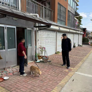 平度市东阁街道执法中队：文明养犬，共建和谐环境