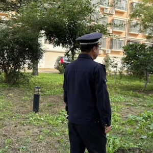 平度市东阁街道执法中队整治占绿毁绿，用心守护好城市绿线 ...