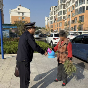平度市东阁街道执法中队严查建筑垃圾乱倾倒行为，维护生态安全 ...