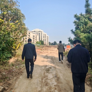 同和中队:执法护绿守民生，巡查尽责护绿荫