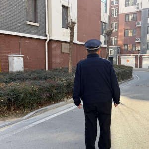 “信用+”东阁执法中队严查占绿毁绿行为 守护宜居美好家园