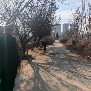 凤台中队：守护城市记忆，筑牢生态根基