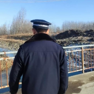 凤台中队：守护辖区生态 擦亮宜居环境底色