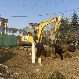 同和中队:巡护绿意守生态，执法护航美家园