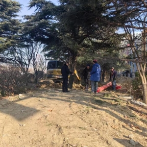 凤台中队：规范绿地挖掘施工 守护城市生态底色