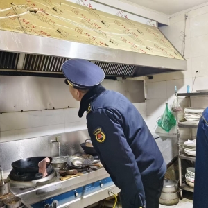 东阁执法中队严查油烟排放 守护蓝天白云