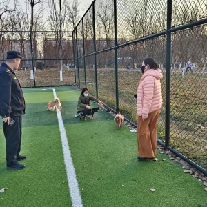 牵好文明绳 守护安全线——东阁执法中队查处两起不文明养犬行为 ...