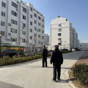 东阁执法中队开展小区占绿毁绿巡查  护绿成效显著