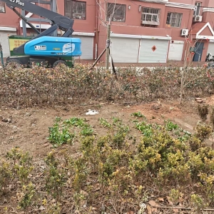 快速响应群众诉求 依法整治占绿毁绿 ——东阁执法中队及时处置一起小区毁绿行为 ...