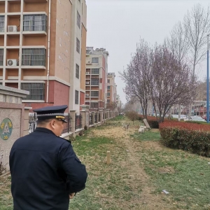 规范养犬守文明 温情执法筑和谐