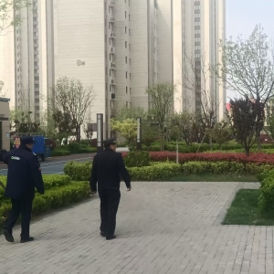同和中队：文明养犬不“掉链”，依法共治护家园
