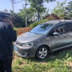 凤台中队 护绿不停步 治乱不松懈