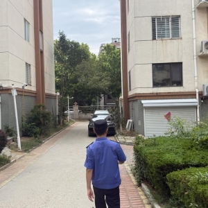“信用+”强化犬类管理，让文明养犬真正“不掉链”