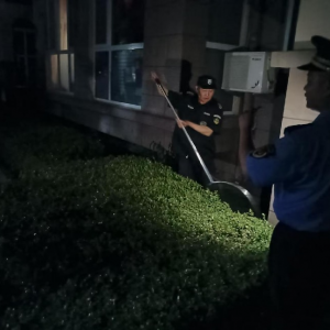 凤台执法中队连夜处置流浪犬线索 多措并举倡导文明养犬