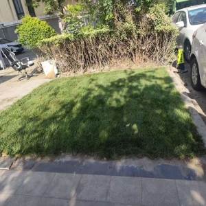 整治毁绿私建车位乱象，守护同和家园公共宜居空间