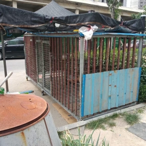 同和中队整治私搭乱建狗棚乱象,守护小区公共文明空间