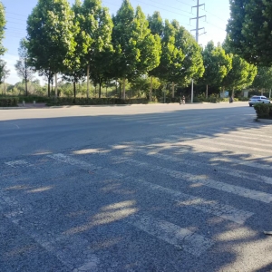 同和中队：“信用+执法”严查占道经营乱象