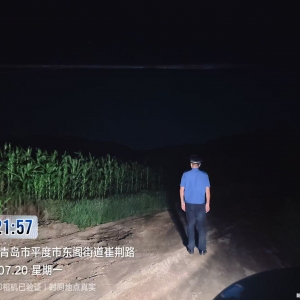 夜间巡查不松懈 严守耕地“净土” ——东阁执法中队开展荒地田间建筑垃圾专项夜查行动 ...