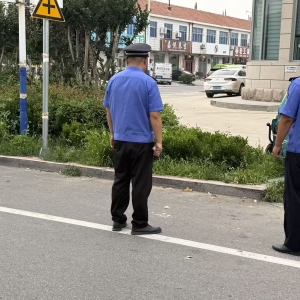 镇容秩序整治 持续提升镇容镇貌
