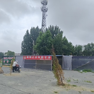 重拳整治私搭乱建 规范集市经营秩序 ——东阁执法中队依法拆除违法搭建棚屋 ...